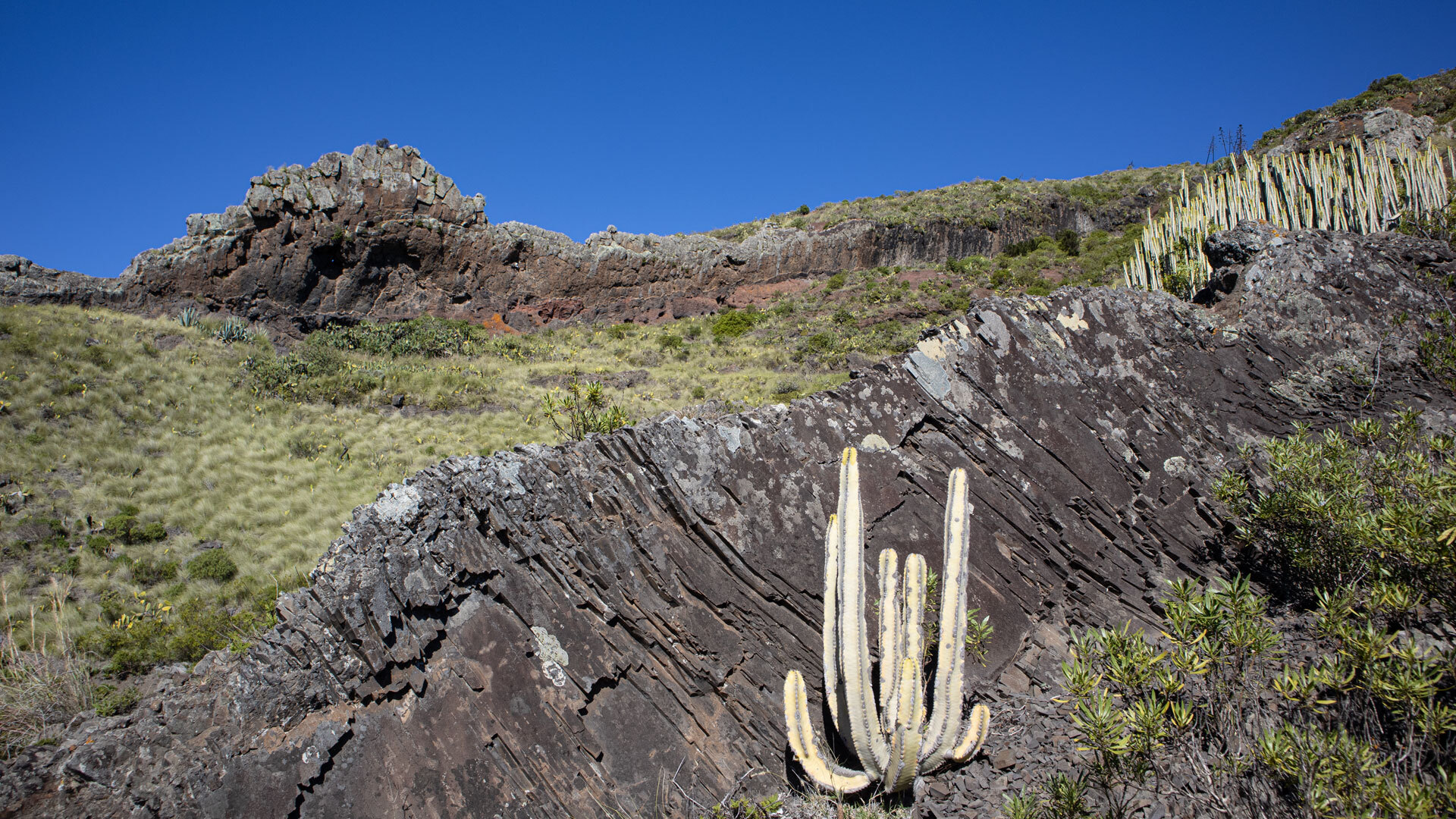 Basaltformationen im Anaga