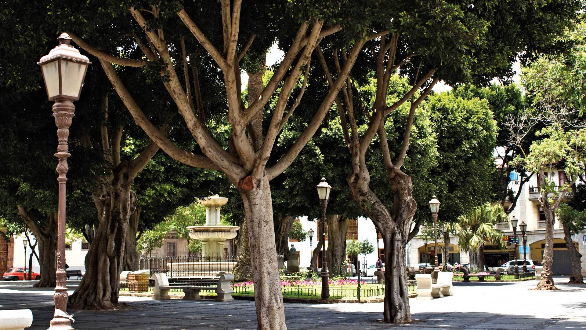 Plaza del Adelantado, La Laguna