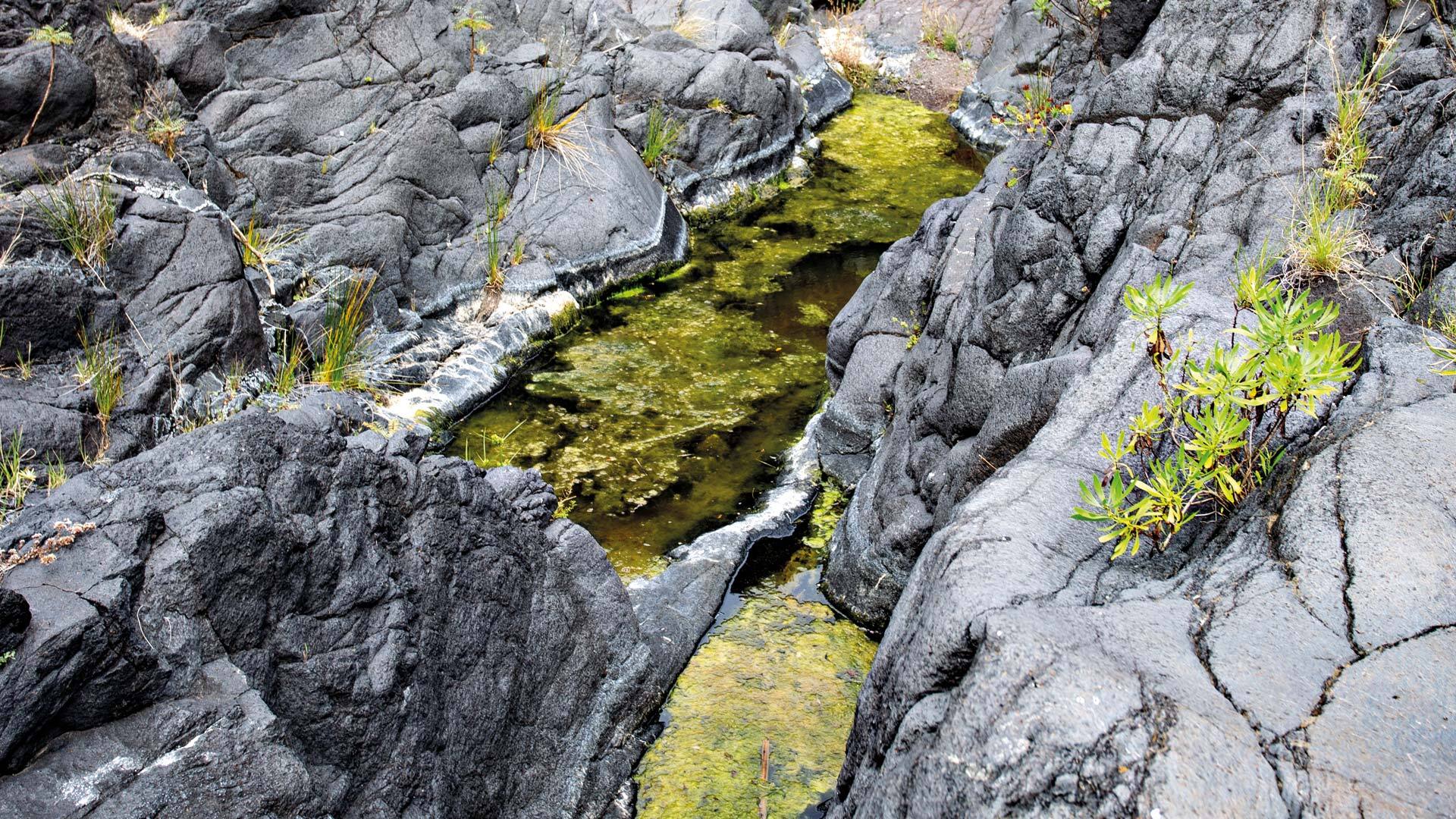 Wasserbecken im Barranco del Río