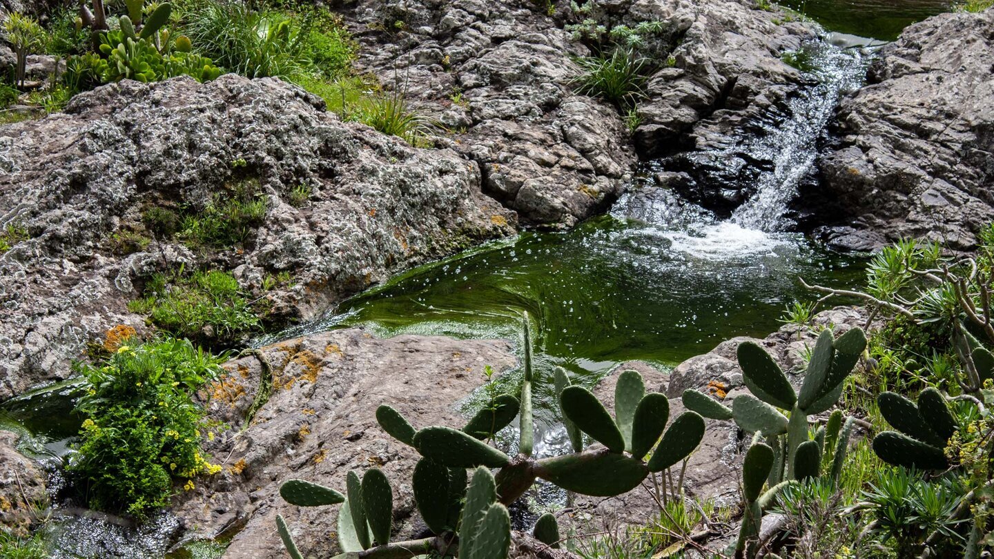 Barranco Chamorga