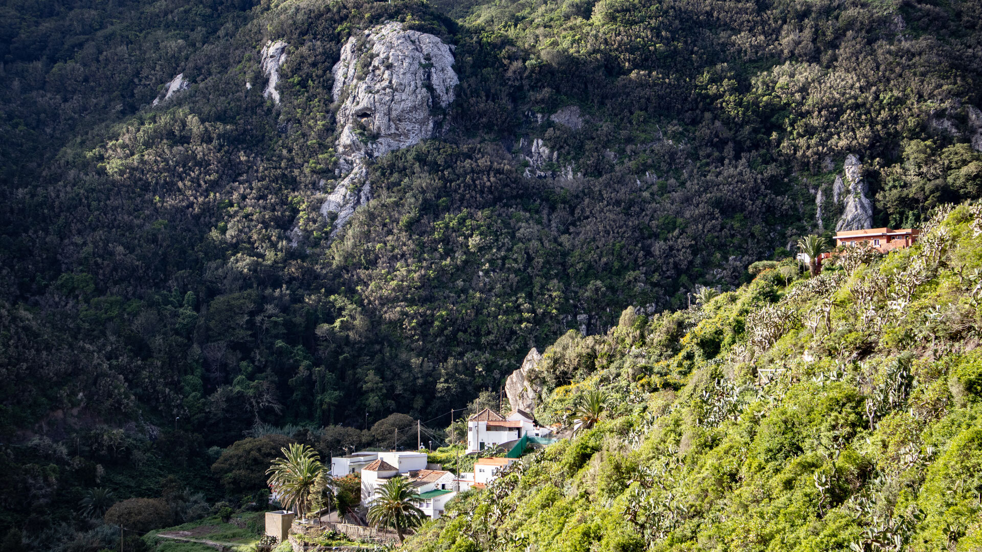 Chamorga
