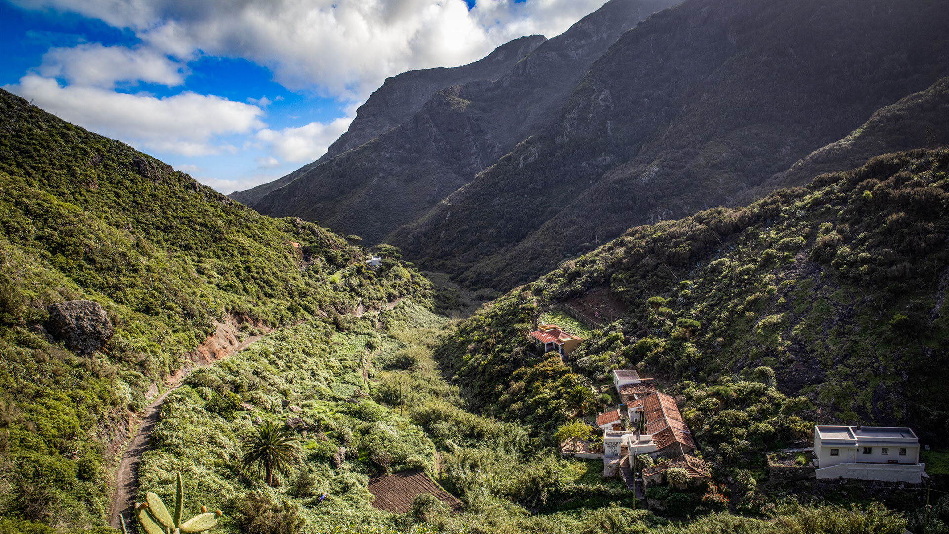 Chamorga – Barranco Roque Bermejo