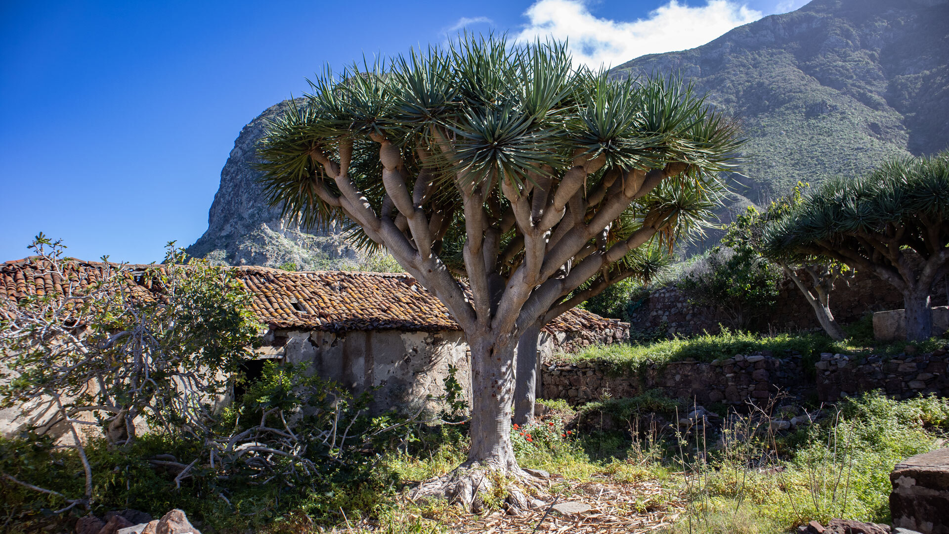 die Siedlung Las Palmas im Anaga