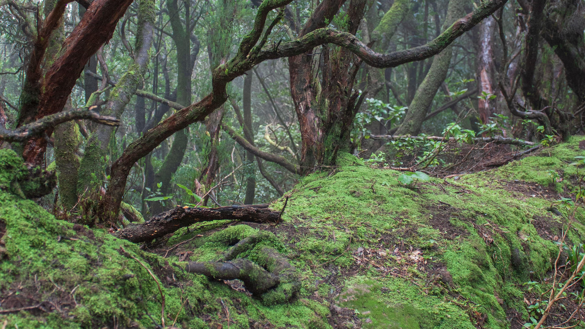 Sendero de los Sentidos