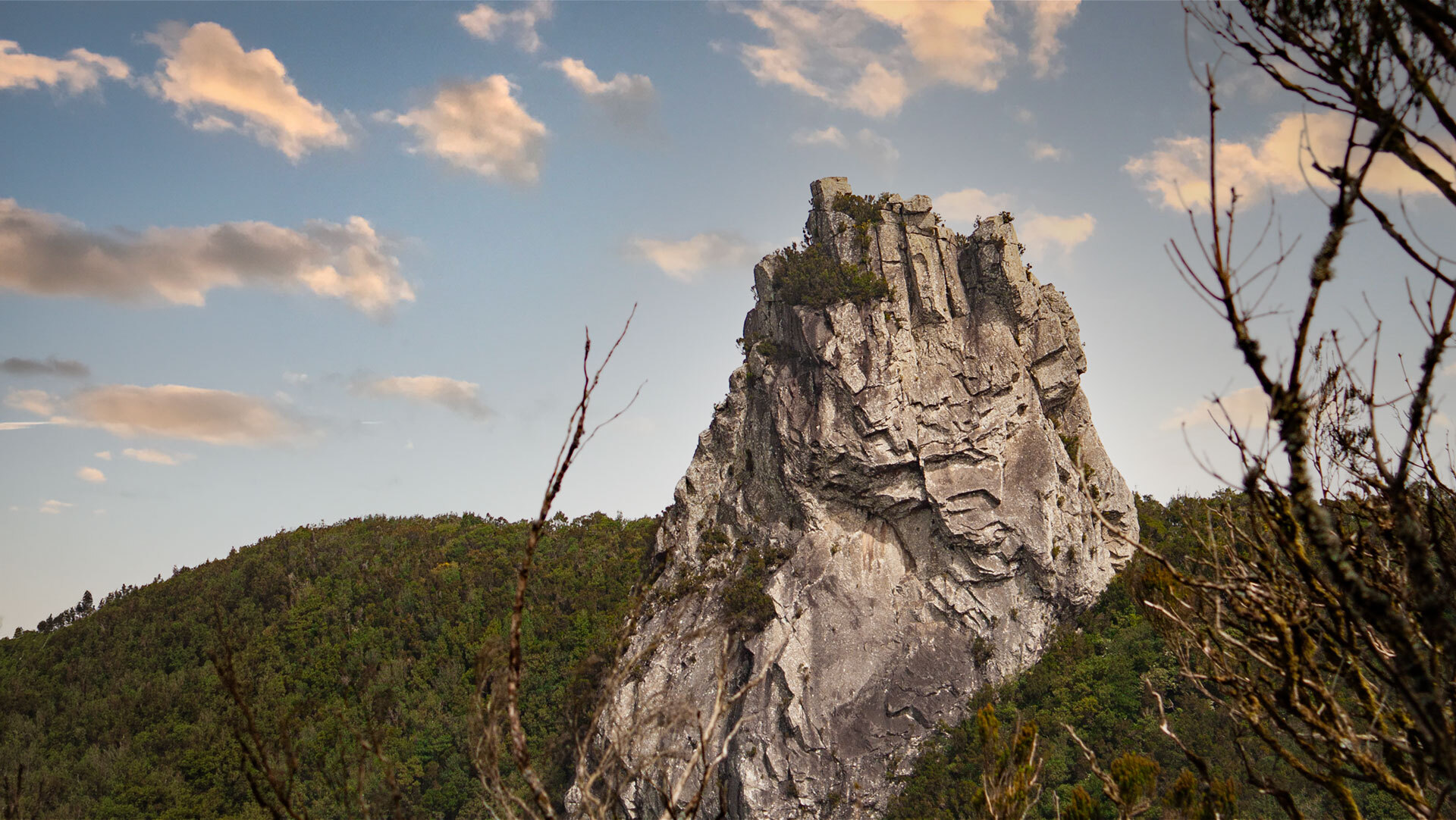 Roque de Anambro