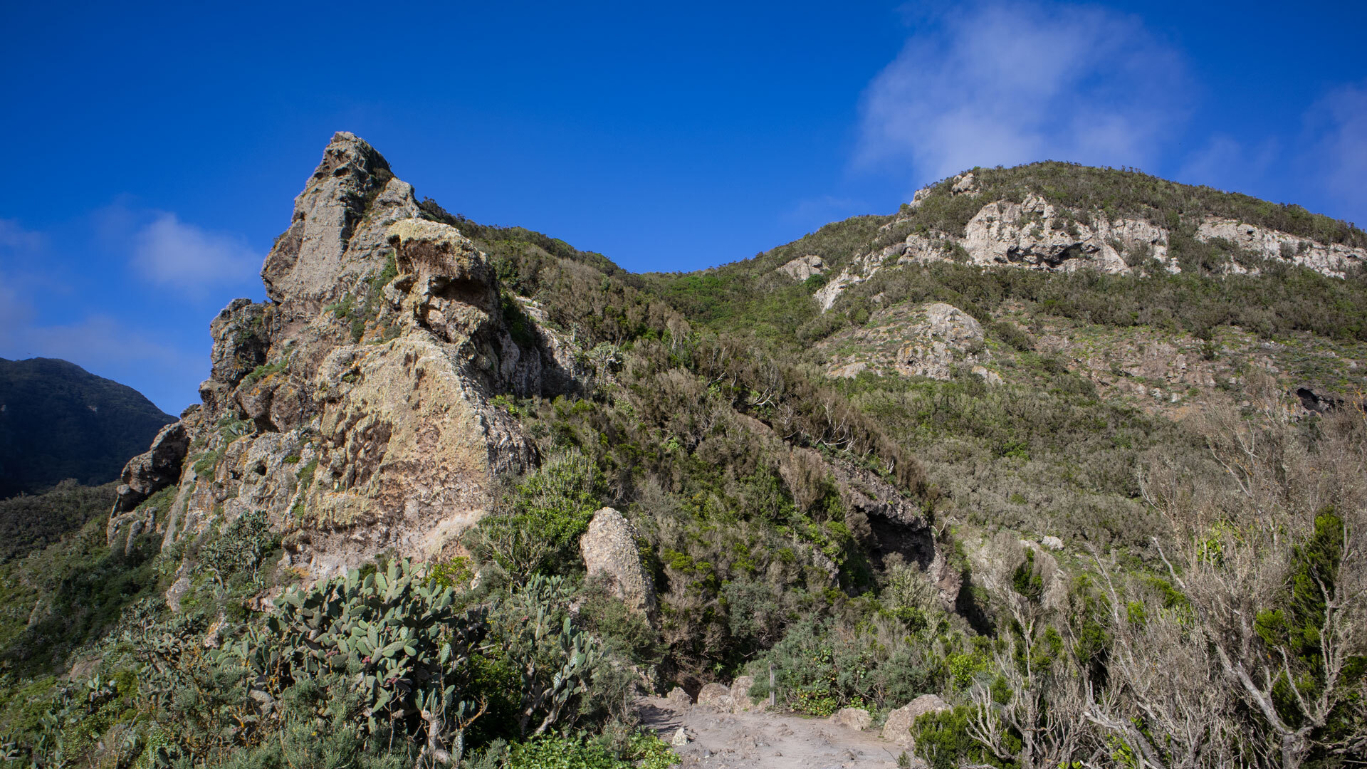 Roque Bichuelo y Roque Pilon