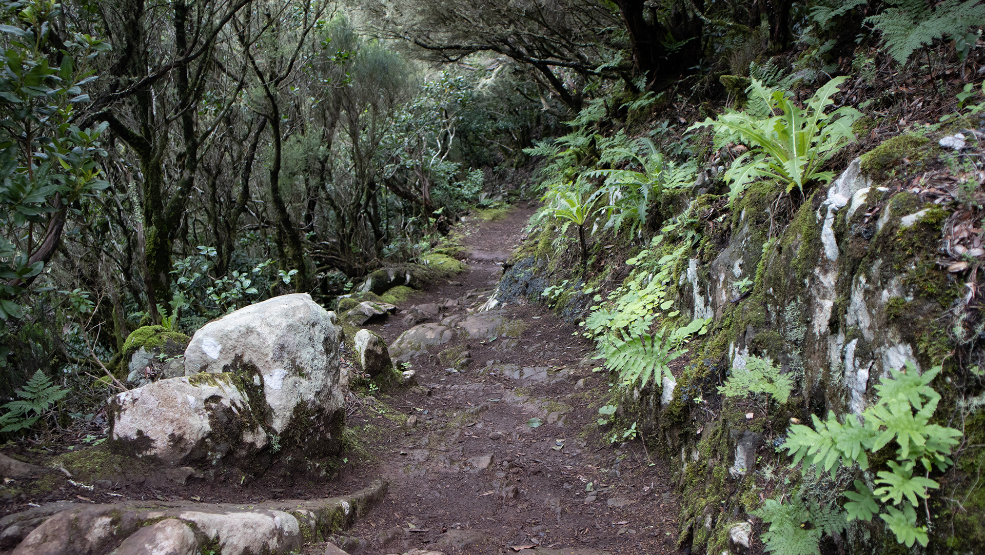 Zona de Exclusión Monte Aguirre