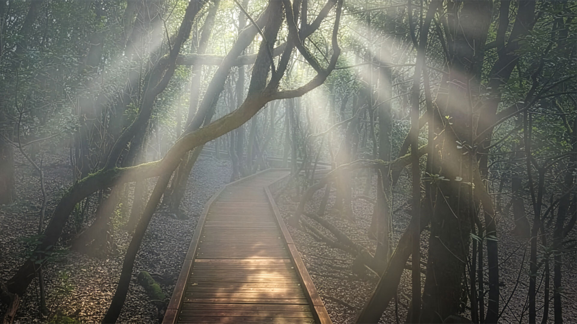 Sendero de los Sentidos