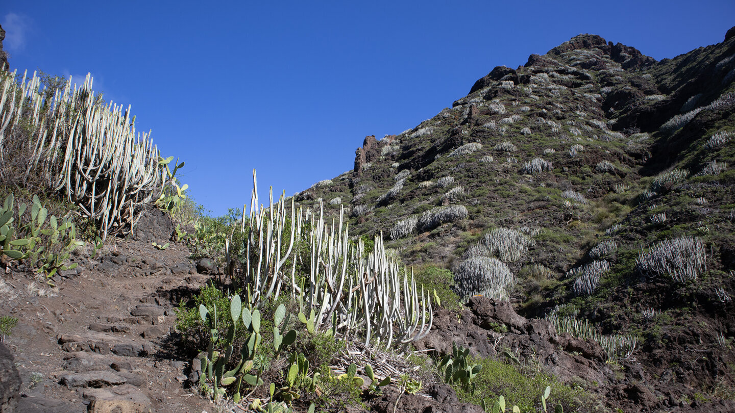 Wanderweg zur Playa de Tamadite 