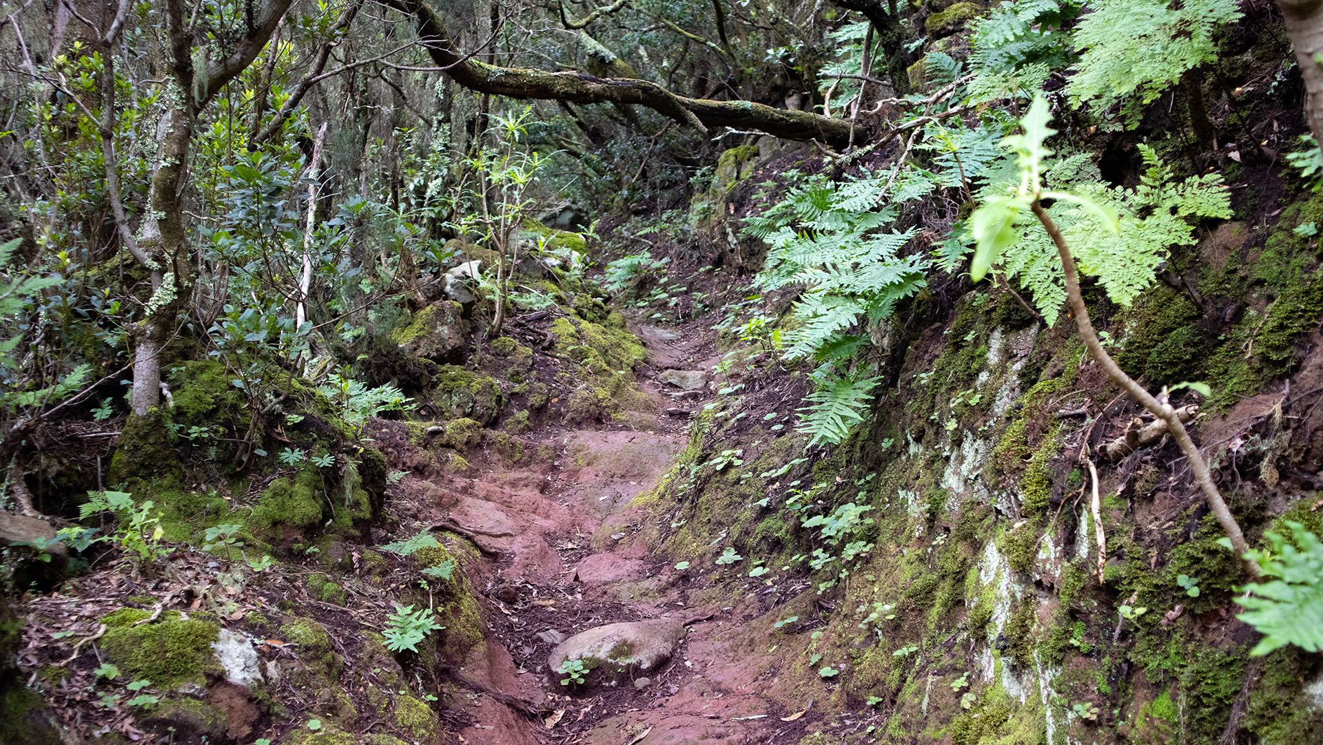 Wanderpfad im Schutzgebiet Monte Aguirre