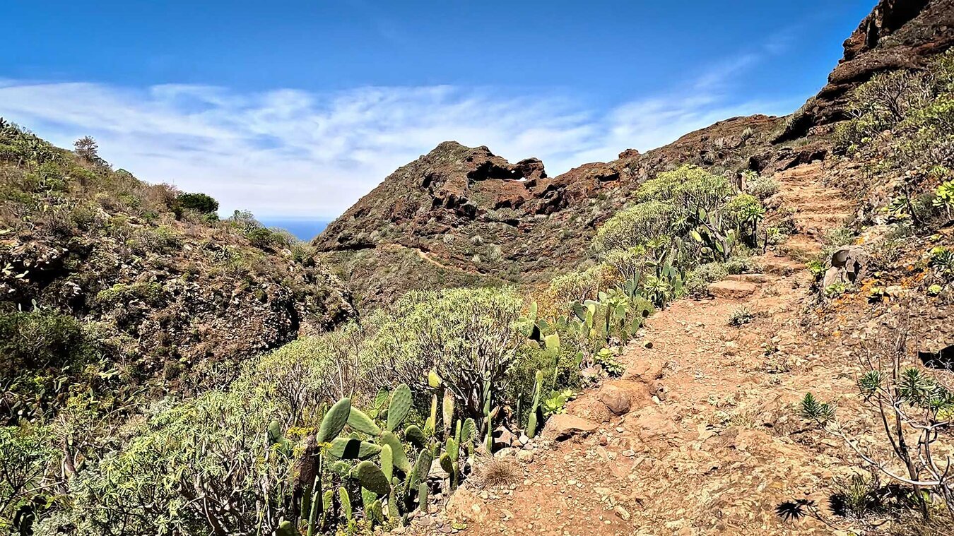 in Fels geschlagene Stufen beim Abstieg ins Barranco del Río