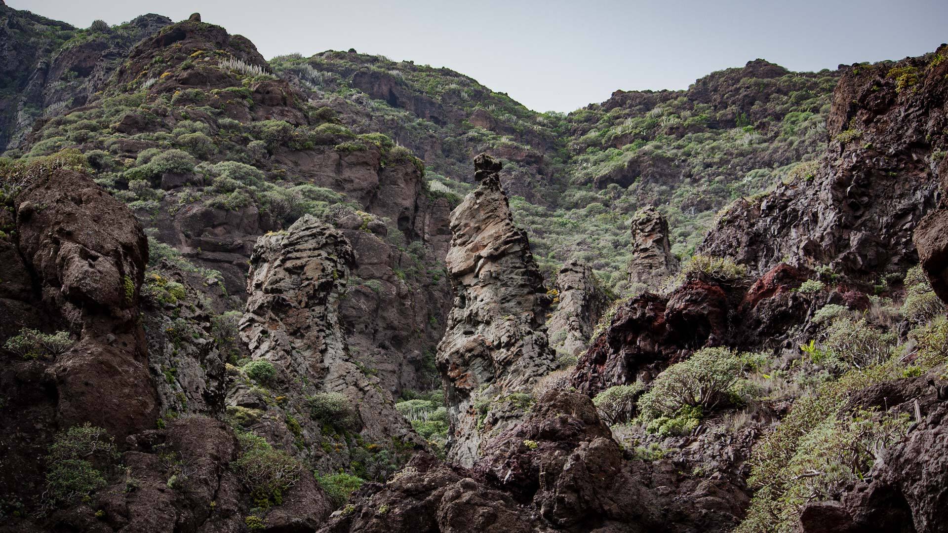 Barranco de Chamorga